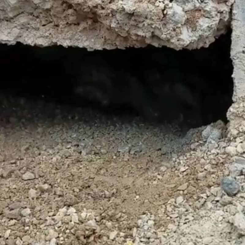 Void Filling